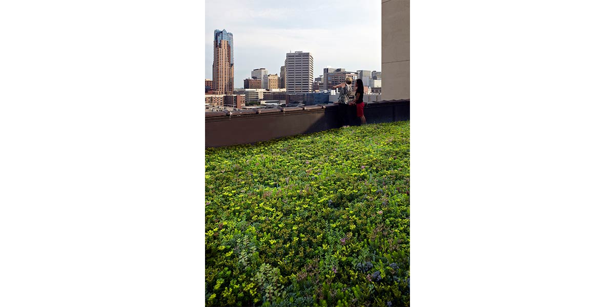 rooftop garden at renissance box with two women pointing to ground